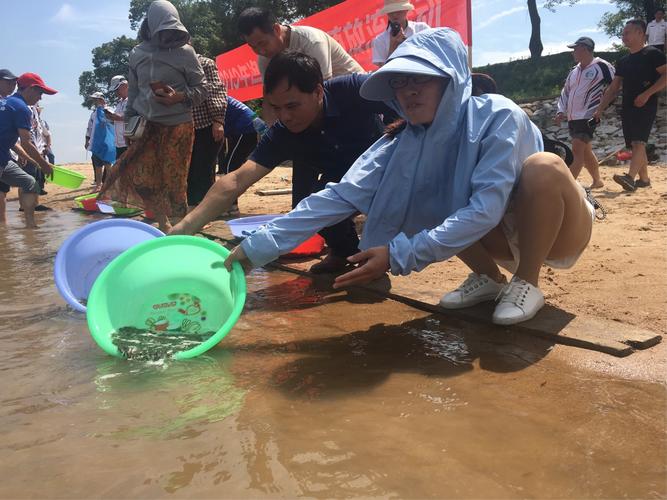 保护生态环境 共建美丽家园 生态资源监测的重要意义与实践路径